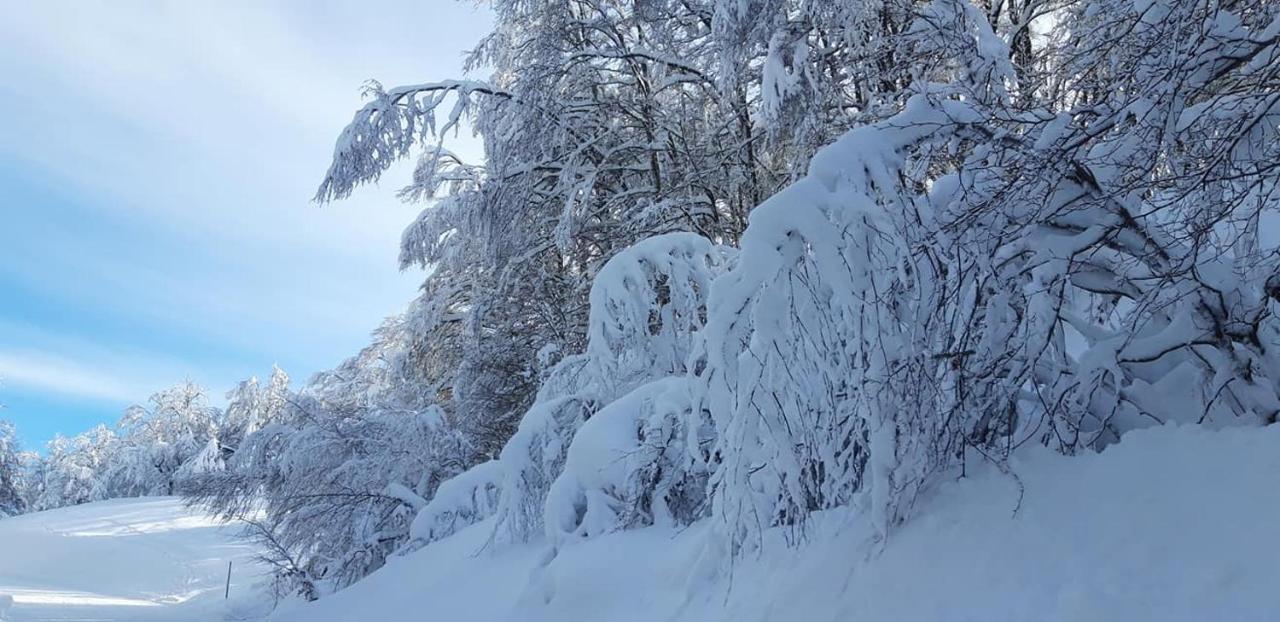 Vacanze Da Tiffany - Marmore Falls Terni Zewnętrze zdjęcie